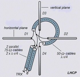 CY1.gif