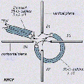 CY2.gif