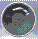 Ergo2.png