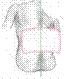 Ergo3.png