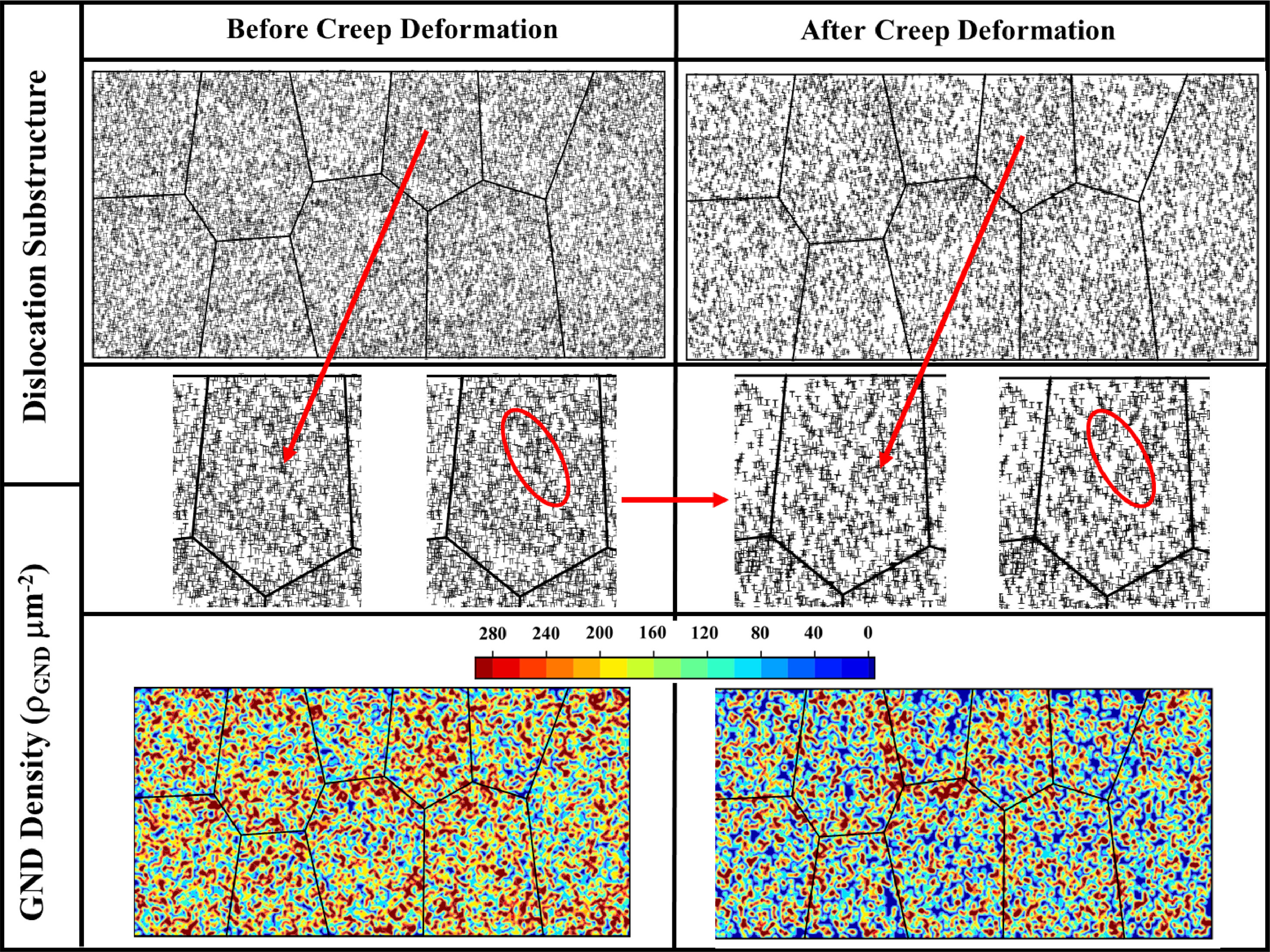 2D dislocation dynamics simulation creep